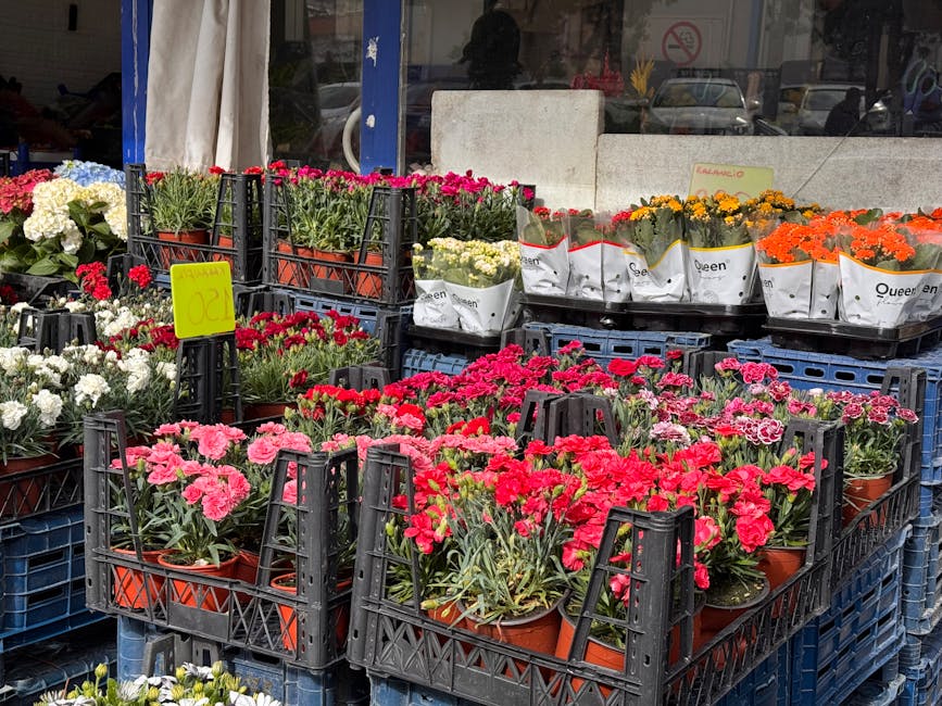 Exterior display of various potted flowers for sale outside a florist shop, including pink and red carnations, white and purple hydrangeas, yellow and orange marigolds in white paper wrappers, arrange