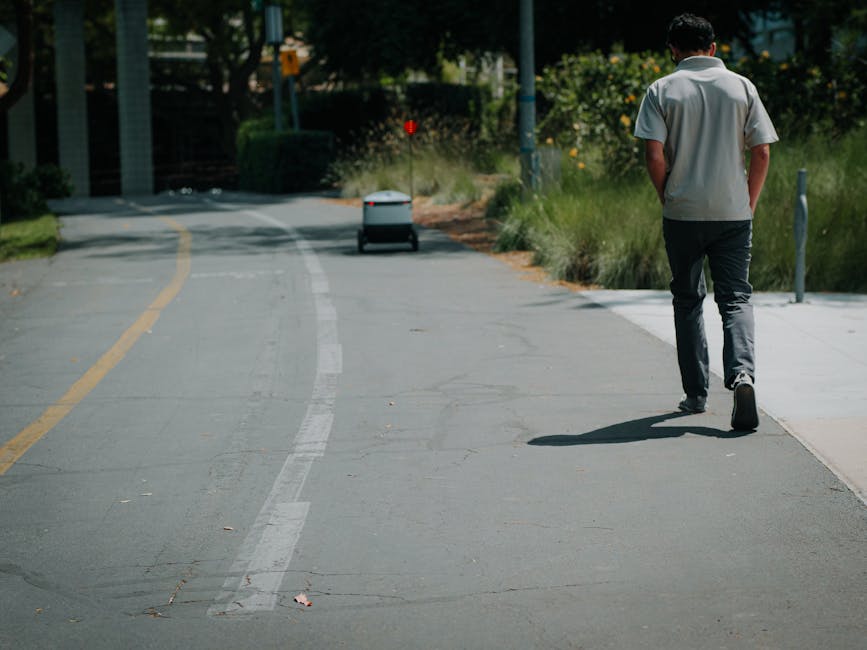 A young man dressed in a light grey shirt and dark trousers is walking alone along a paved sidewalk on a sunny day, carrying a floral gift. The arrangement appears to consist of fresh flowers wrapped 